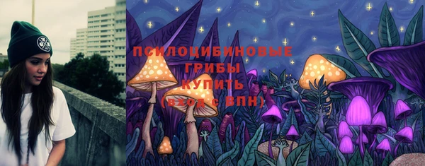 PSILOCYBIN Каменск-Шахтинский