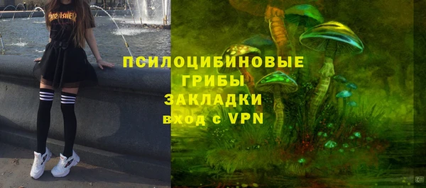 амфетамин Каменка