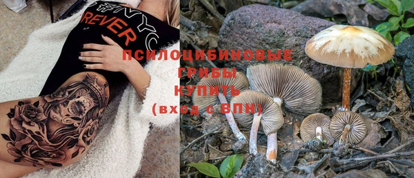 PSILOCYBIN Каменск-Шахтинский